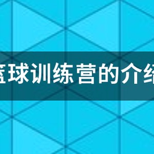 暑期篮球训练营提升班教案